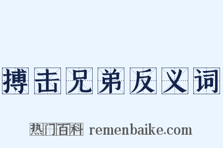 搏击兄弟反义词是什么意思的图片